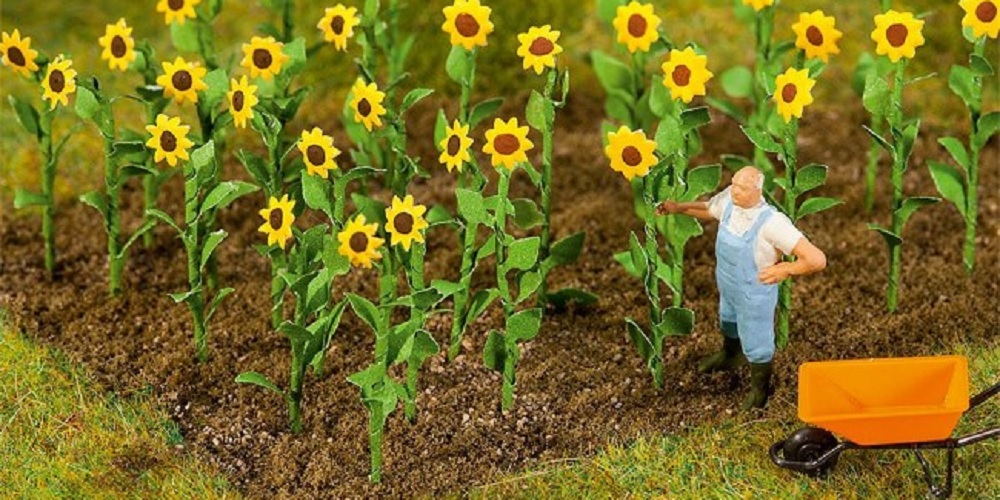 Bloemen, planten en graspollen