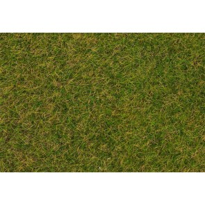 Faller 170206 - STROOIMATERIAAL WILDGRAS VROEGE ZOMER 4MM 30 G