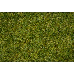 Noch 007072 - Master-Grasmischung Sommerwiese, 2,5 bis 6 mm