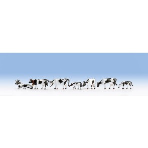 Noch 15721 - Kühe, schwarz-weiß