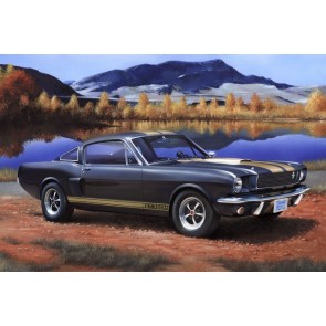 Revell 67242 - Model Set Shelby Mustang GT 3